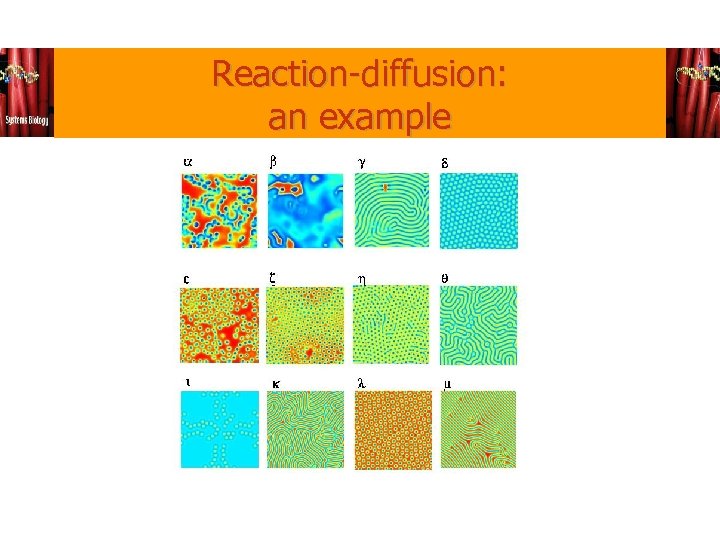 Reaction-diffusion: an example 