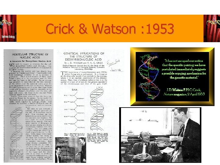 Crick & Watson : 1953 