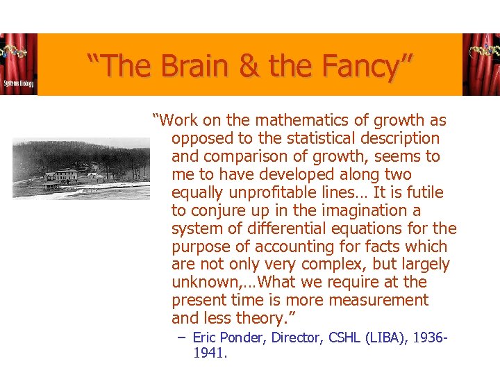 “The Brain & the Fancy” “Work on the mathematics of growth as opposed to