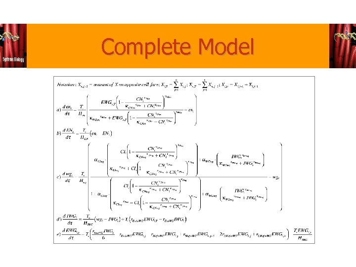 Complete Model 
