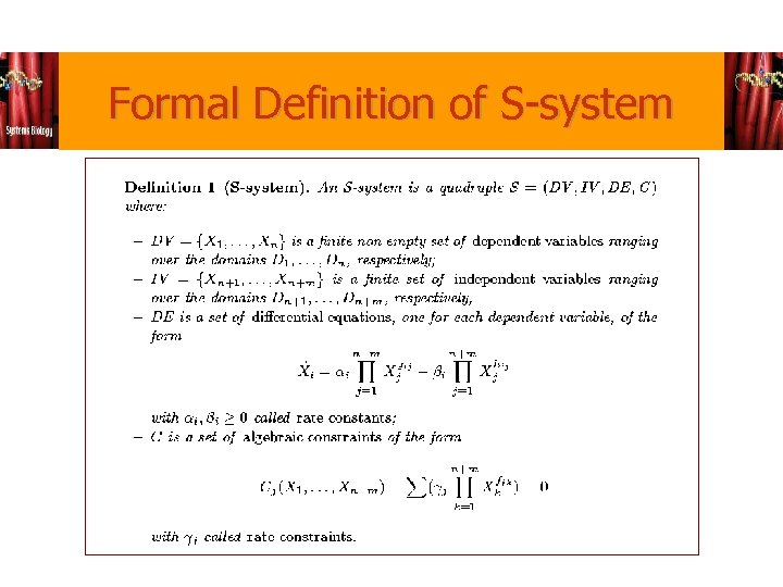 Formal Definition of S-system 