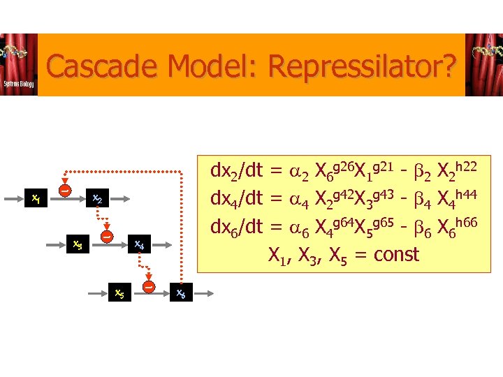 Cascade Model: Repressilator? x 1 - dx 2/dt = a 2 X 6 g