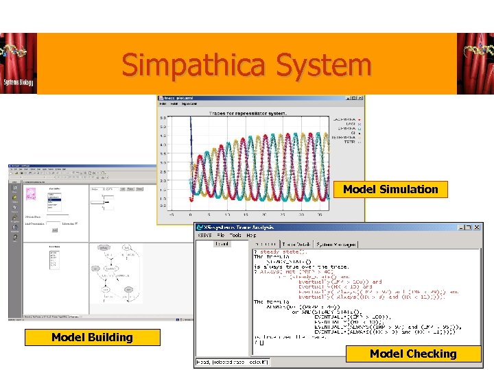 Simpathica System Model Simulation Model Building Model Checking 