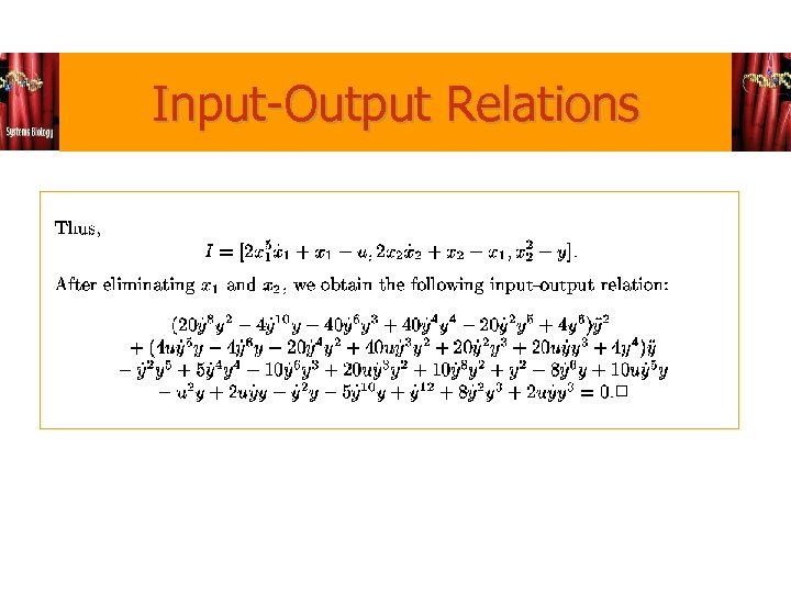 Input-Output Relations 