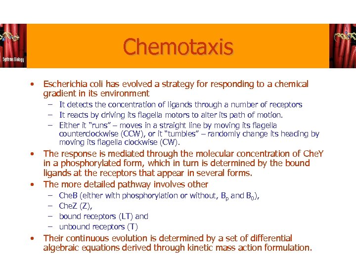 Chemotaxis • Escherichia coli has evolved a strategy for responding to a chemical gradient