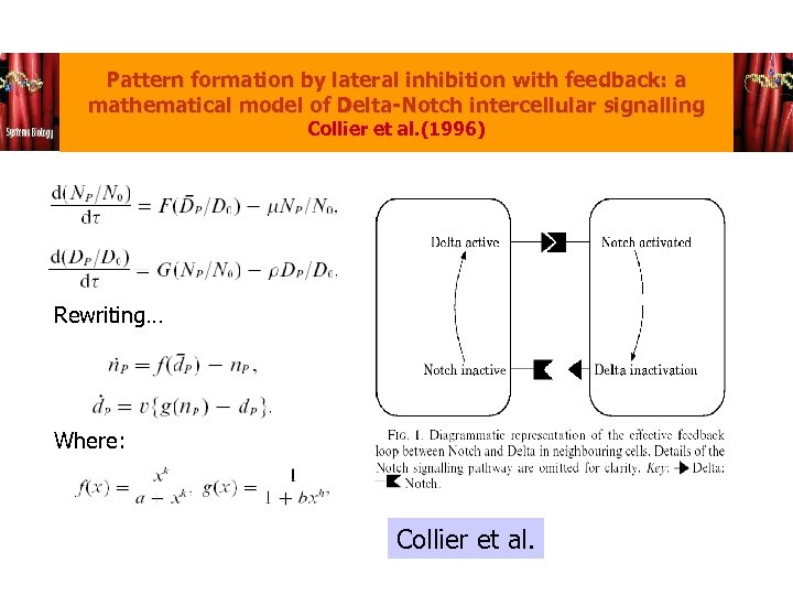 Pattern formation by lateral inhibition with feedback: a mathematical model of Delta-Notch intercellular signalling