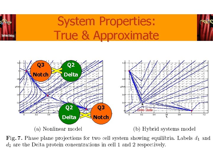 System Properties: True & Approximate Q 3 Q 2 Notch Delta Q 2 Q