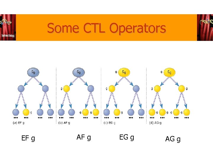 Some CTL Operators EF g AF g EG g AG g 