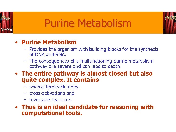 Purine Metabolism • Purine Metabolism – Provides the organism with building blocks for the