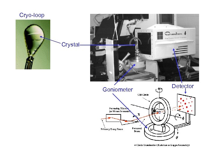 Cryo-loop Crystal Goniometer Detector 