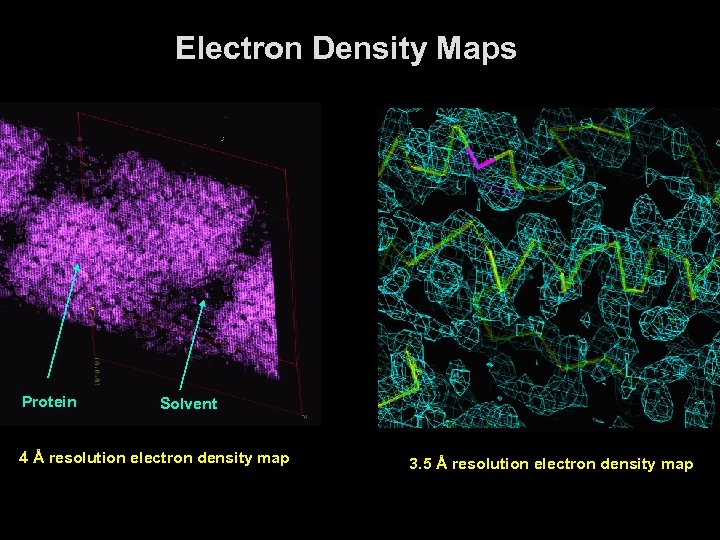 Electron Density Maps Protein Solvent 4 Å resolution electron density map 3. 5 Å