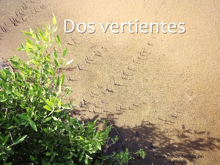 Dos vertientes (787) 890 -0118 www. iglesiabiblicabautista. org Iglesia Bíblica Bautista de Aguadilla 
