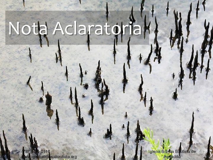 Nota Aclaratoria (787) 890 -0118 www. iglesiabiblicabautista. org Iglesia Bíblica Bautista de Aguadilla 