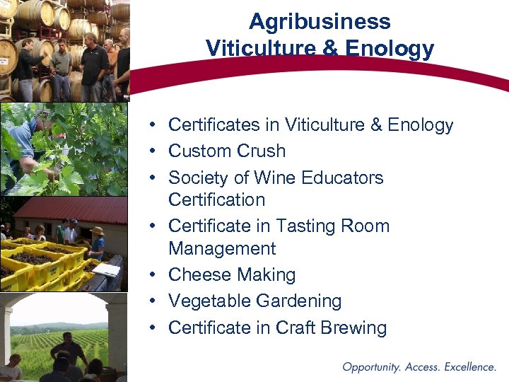 Agribusiness Viticulture & Enology • Certificates in Viticulture & Enology • Custom Crush •