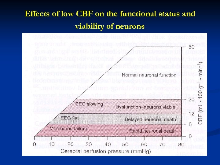 Effects of low CBF on the functional status and viability of neurons 