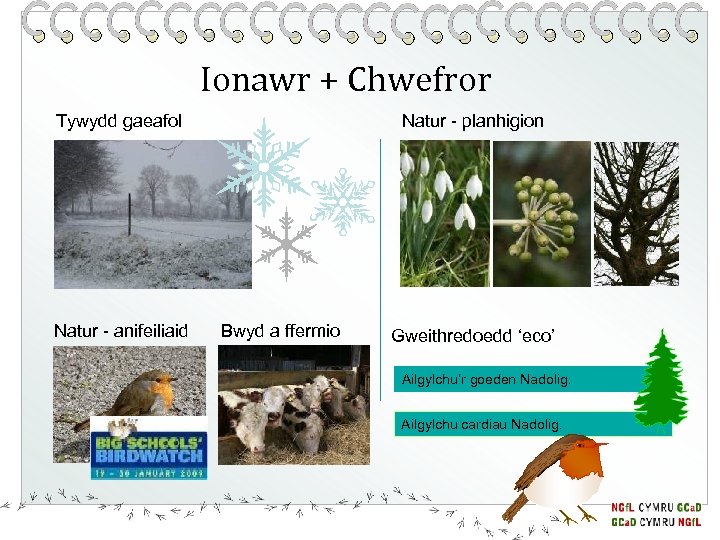 Ionawr + Chwefror Tywydd gaeafol Natur - anifeiliaid Natur - planhigion Bwyd a ffermio