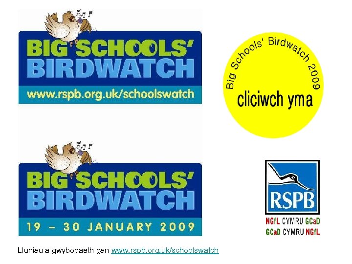 Lluniau a gwybodaeth gan www. rspb. org. uk/schoolswatch 