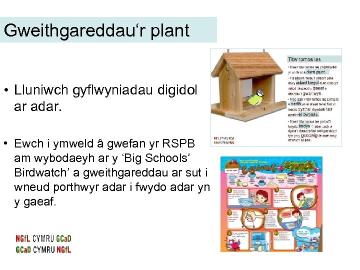 Gweithgareddau‘r plant • Lluniwch gyflwyniadau digidol ar adar. • Ewch i ymweld â gwefan