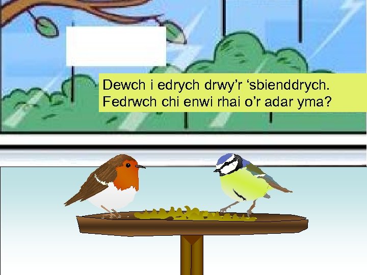Dewch i edrych drwy’r ‘sbienddrych. Fedrwch chi enwi rhai o’r adar yma? 