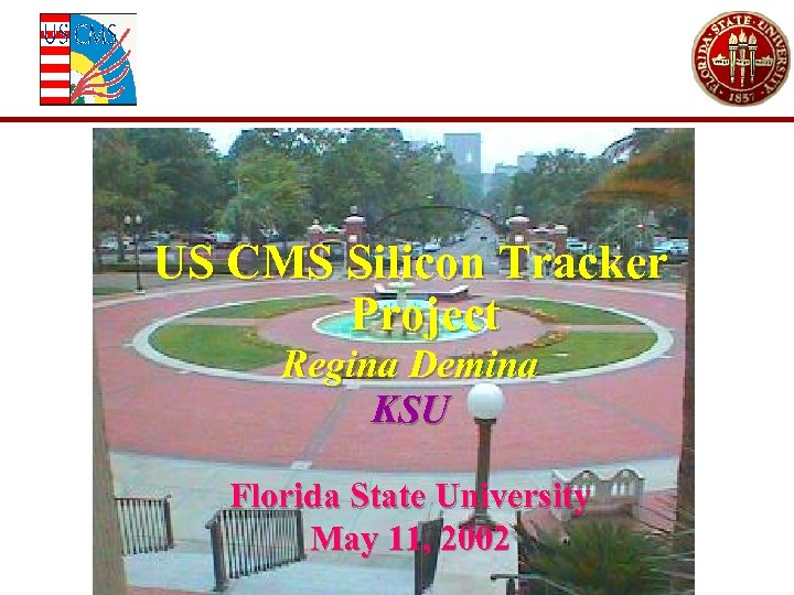 US CMS Silicon Tracker Project Regina Demina KSU Florida State University May 11, 2002