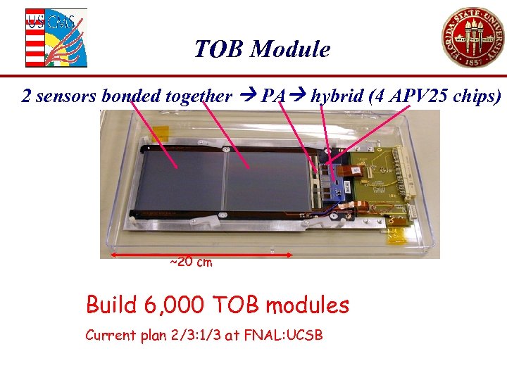 TOB Module 2 sensors bonded together PA hybrid (4 APV 25 chips) ~20 cm