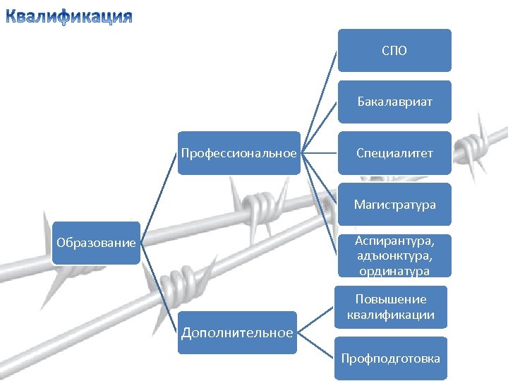 Квалификация высшего образования. Уровни образования специалитет бакалавриат магистратура. Что такое бакалавриат и магистратура и специалитет и аспирантура. Бакалавриат магистратура аспирантура. Специалитет магистратура аспирантура.