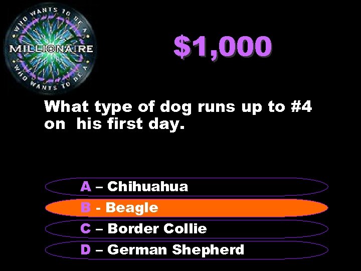 $1, 000 What type of dog runs up to #4 on his first day.