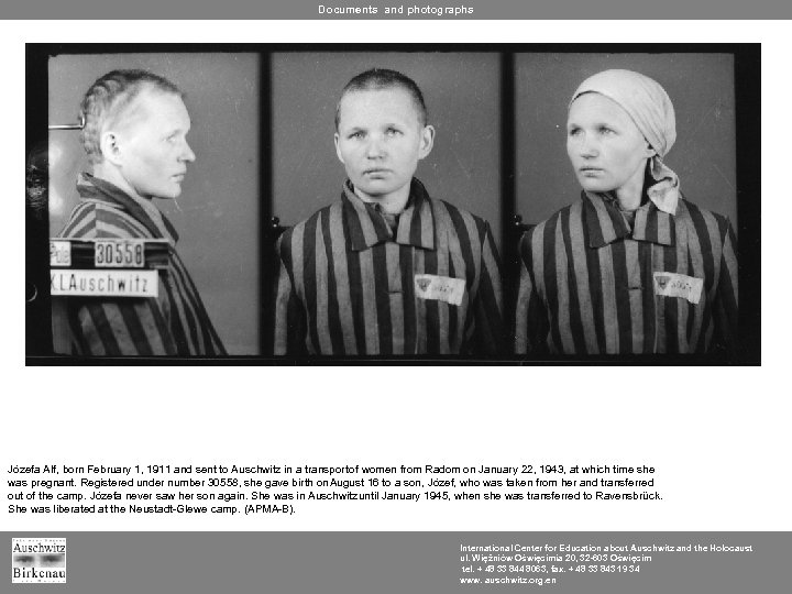 Documents and photographs Józefa Alf, born February 1, 1911 and sent to Auschwitz in