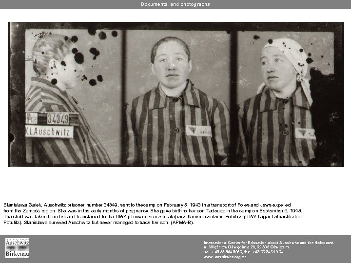 Documents and photographs Stanisława Galek, Auschwitz prisoner number 34349, sent to the camp on