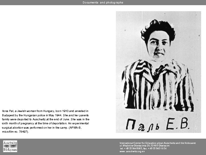 Documents and photographs Ilona Pal, a Jewish woman from Hungary, born 1910 and arrested