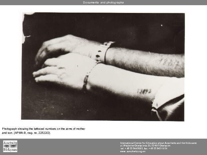 Documents and photographs Photograph showing the tattooed numbers on the arms of mother and