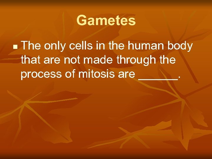 Gametes n The only cells in the human body that are not made through