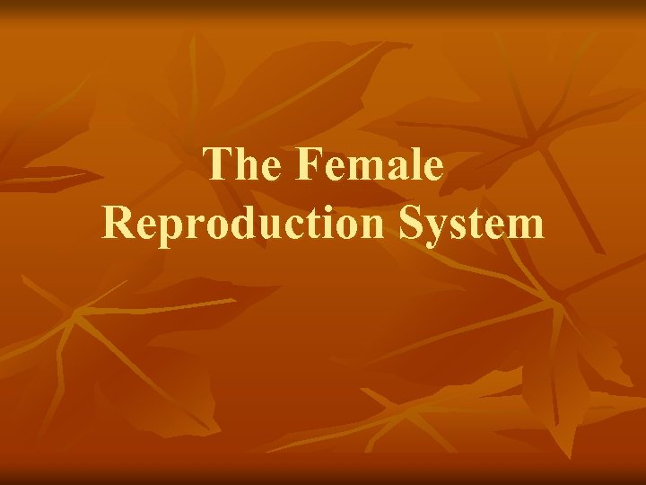 The Female Reproduction System 