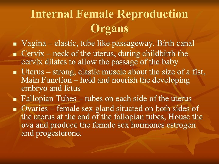 Internal Female Reproduction Organs n n n Vagina – elastic, tube like passageway. Birth