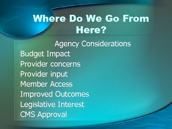 Where Do We Go From Here? Agency Considerations Budget Impact Provider concerns Provider input