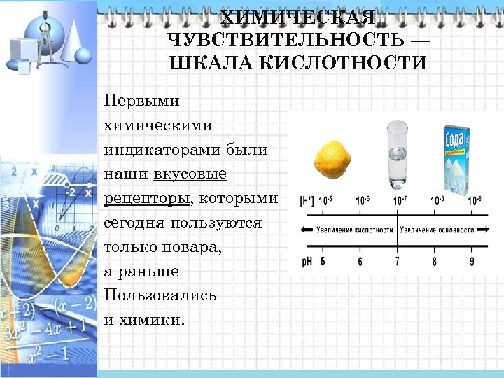 ХИМИЧЕСКАЯ ЧУВСТВИТЕЛЬНОСТЬ — ШКАЛА КИСЛОТНОСТИ Первыми химическими индикаторами были наши вкусовые рецепторы, которыми сегодня