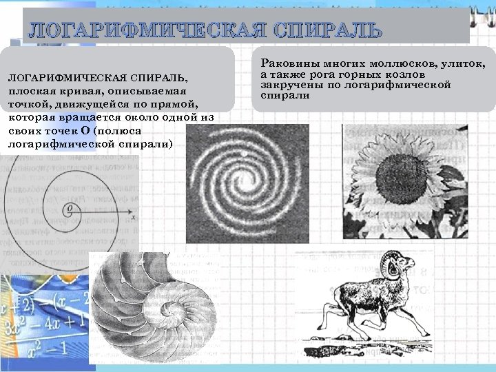 ЛОГАРИФМИЧЕСКАЯ СПИРАЛЬ, плоская кривая, описываемая точкой, движущейся по прямой, которая вращается около одной из