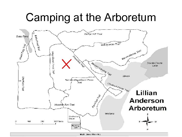 Camping at the Arboretum 
