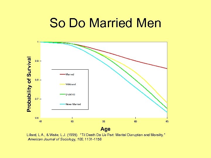 Probability of Survival So Do Married Men Age Lillard, L. A. , & Waite,