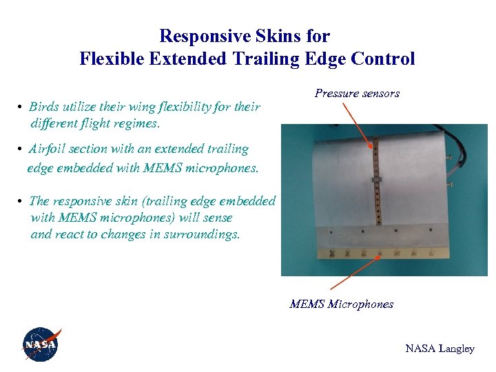 Responsive Skins for Flexible Extended Trailing Edge Control • Birds utilize their wing flexibility