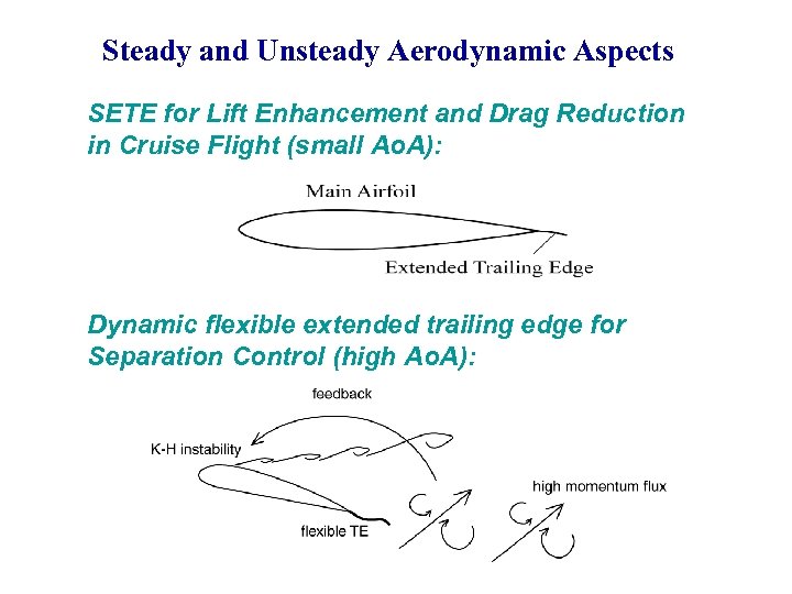 Steady and Unsteady Aerodynamic Aspects SETE for Lift Enhancement and Drag Reduction in Cruise