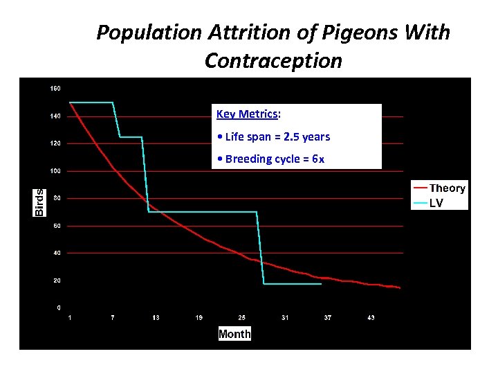 Population Attrition of Pigeons With Contraception Key Metrics: • Life span = 2. 5