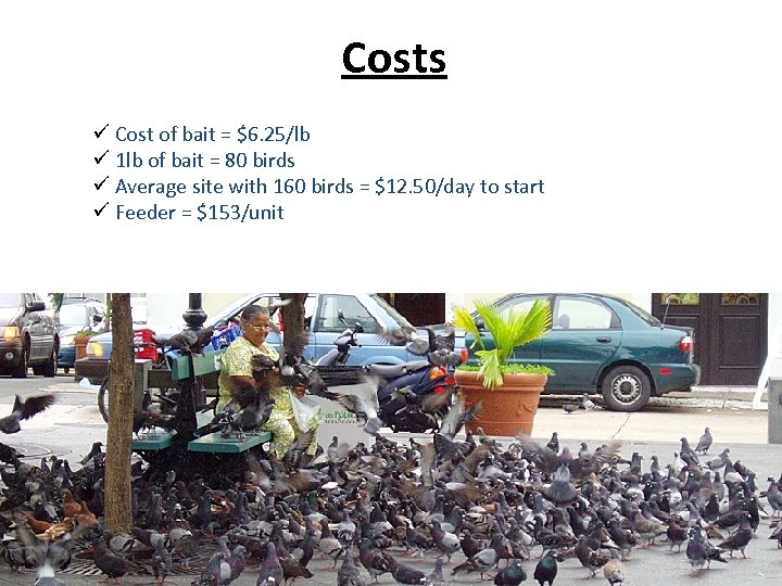 Costs ü Cost of bait = $6. 25/lb ü 1 lb of bait =