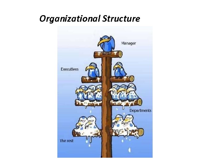 Organizational Structure 