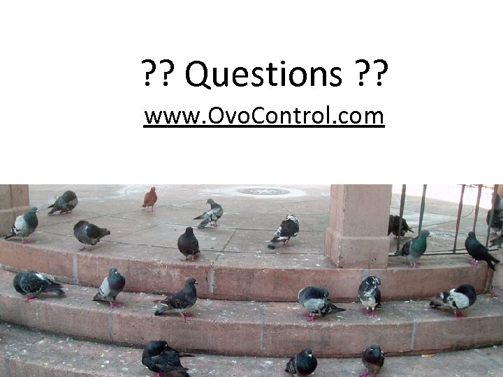 ? ? Questions ? ? www. Ovo. Control. com 