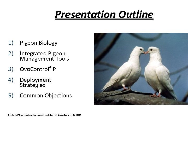 Presentation Outline 1) Pigeon Biology 2) Integrated Pigeon Management Tools 3) Ovo. Control® P