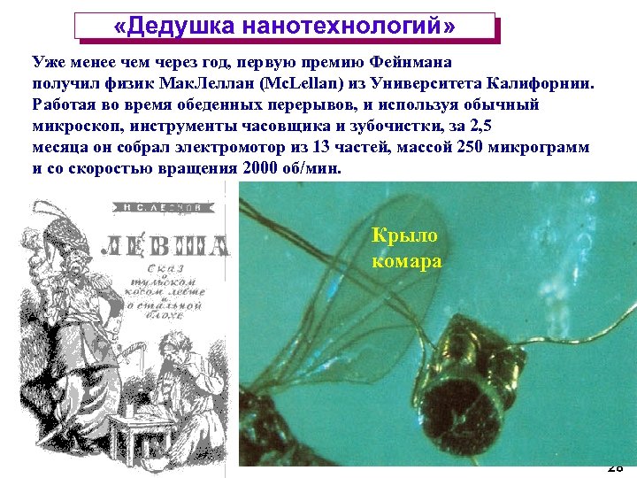  «Дедушка нанотехнологий» Уже менее чем через год, первую премию Фейнмана получил физик Мак.