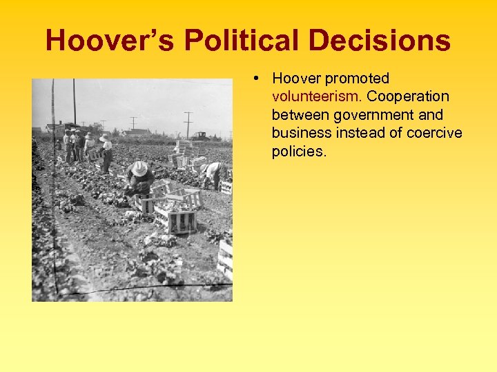 Hoover’s Political Decisions • Hoover promoted volunteerism. Cooperation between government and business instead of