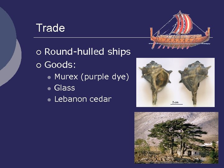 Trade Round-hulled ships ¡ Goods: ¡ l l l Murex (purple dye) Glass Lebanon