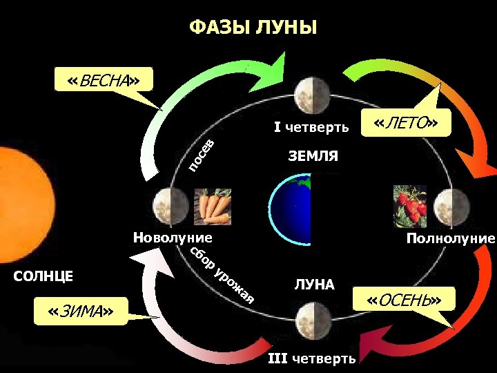 Фаза луны четверть. Фазы Луны. Лунная фаза первой четверти. Фаза Луны первая четверть. Фазы Луны новолуние.